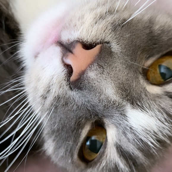 Meet your Posher, - Picture 13 of 13